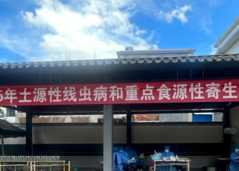 弥渡县血防站进村开展寄生虫病调查
