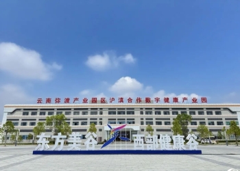 云南弥渡产业园区：沪滇协作共育健康产业“金豆子”