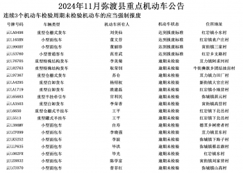 2024年11月弥渡县重点驾驶人、机动车名单公告！有你认识的吗？