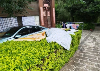绿化带晾晒物品、违法停车！弥渡又有10起不文明行为曝光→