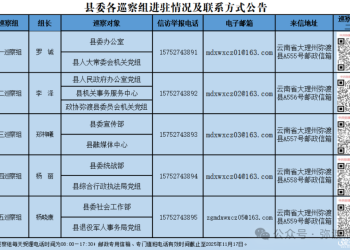 弥渡县委第十二轮巡察组已进驻这11家单位！举报方式公布→