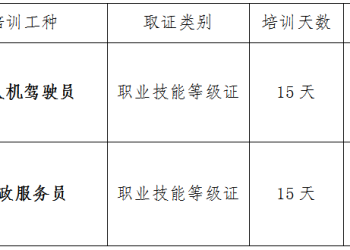 免费培训！弥渡红岩开展无人机驾驶、家政服务技能培训→