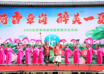 在吗？想“荷”你在这里的荷塘约会 | 旅居弥渡