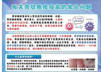 立省1608元！弥渡带状疱疹疫苗减免政策来啦→