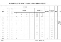 弥渡县2025年符合政府安排工作军士量化评分成绩公示