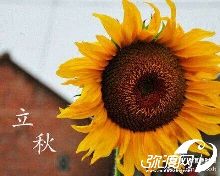 QQ图片20130807145421.jpg