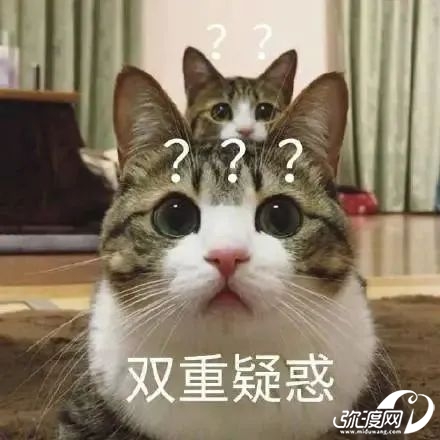 152726h2zfsvbnwqvnffqr.jpeg