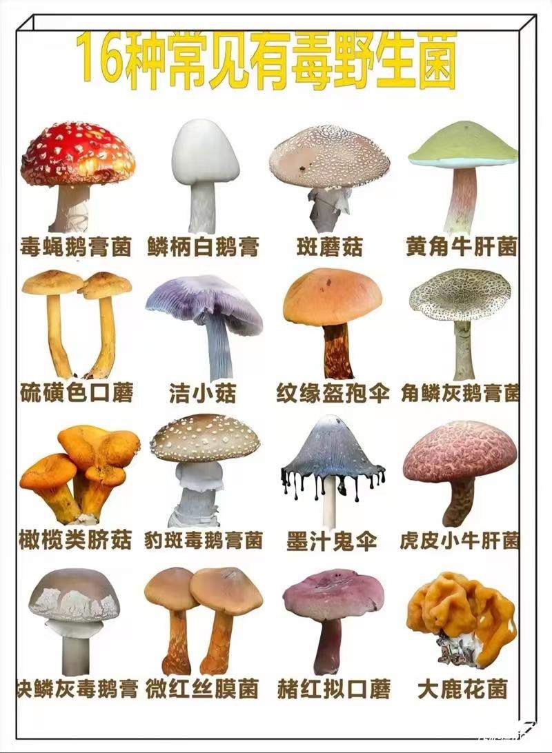 微信图片_20250429100443.jpg