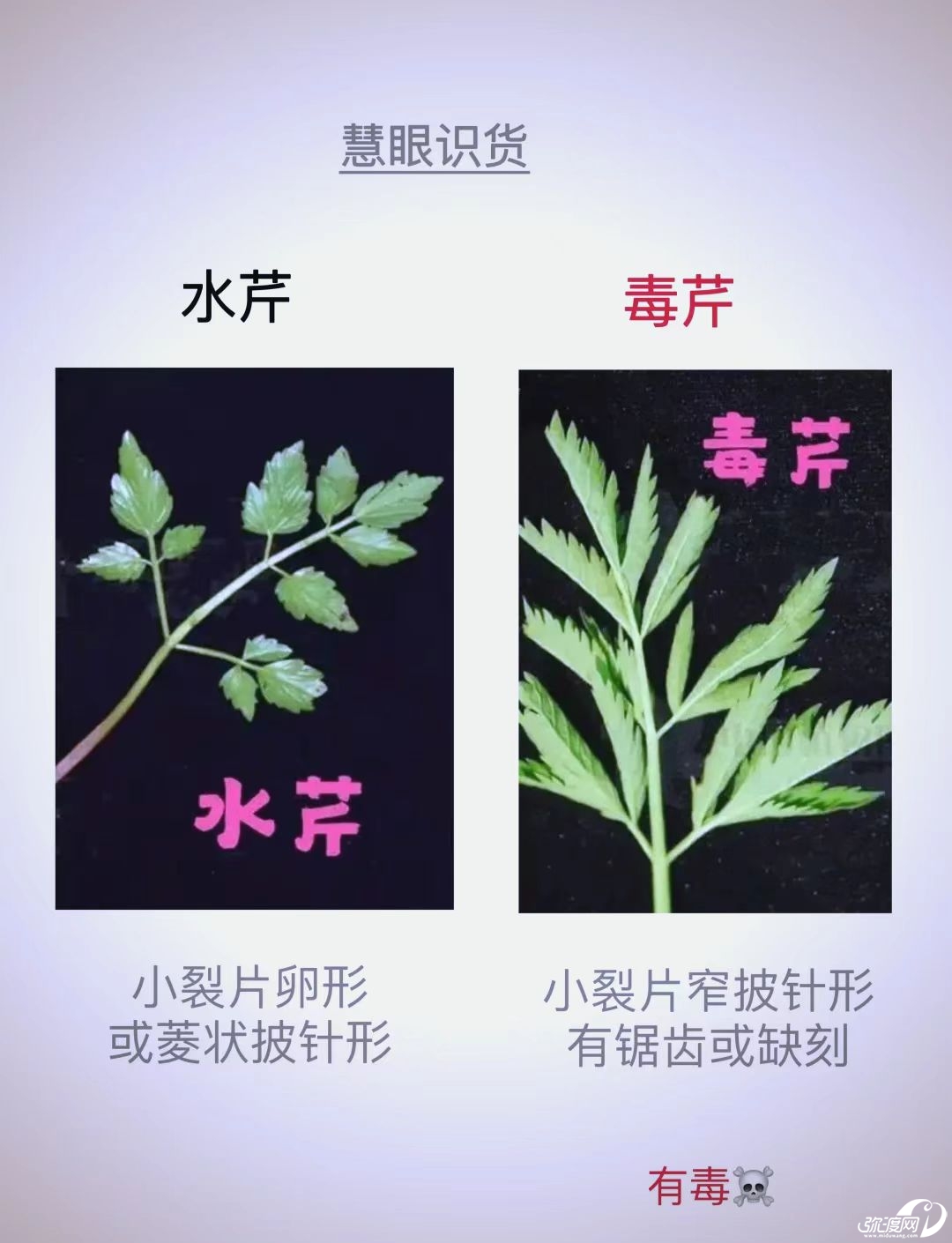 微信图片_20250429100503.jpg