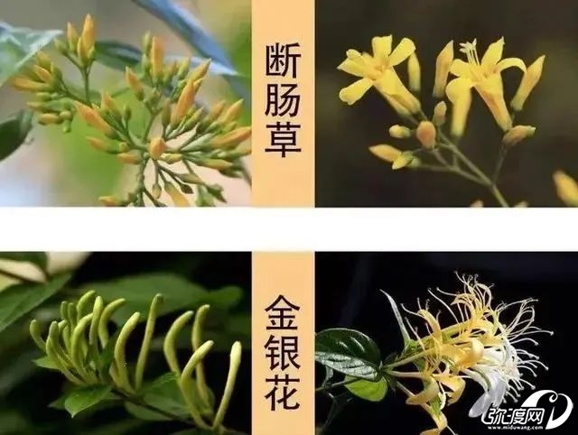 微信图片_20250429104056.jpg