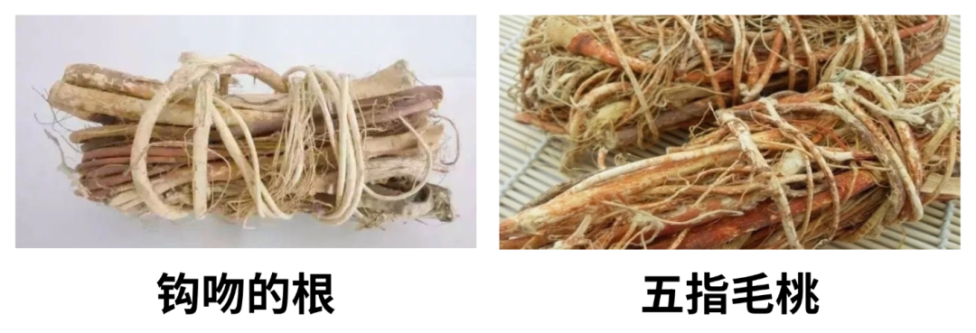 微信图片_20250429104113.png