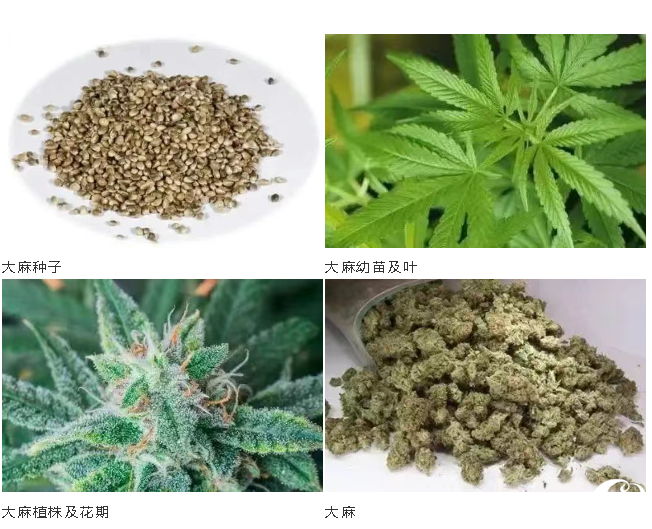 微信图片_20250505090543.png