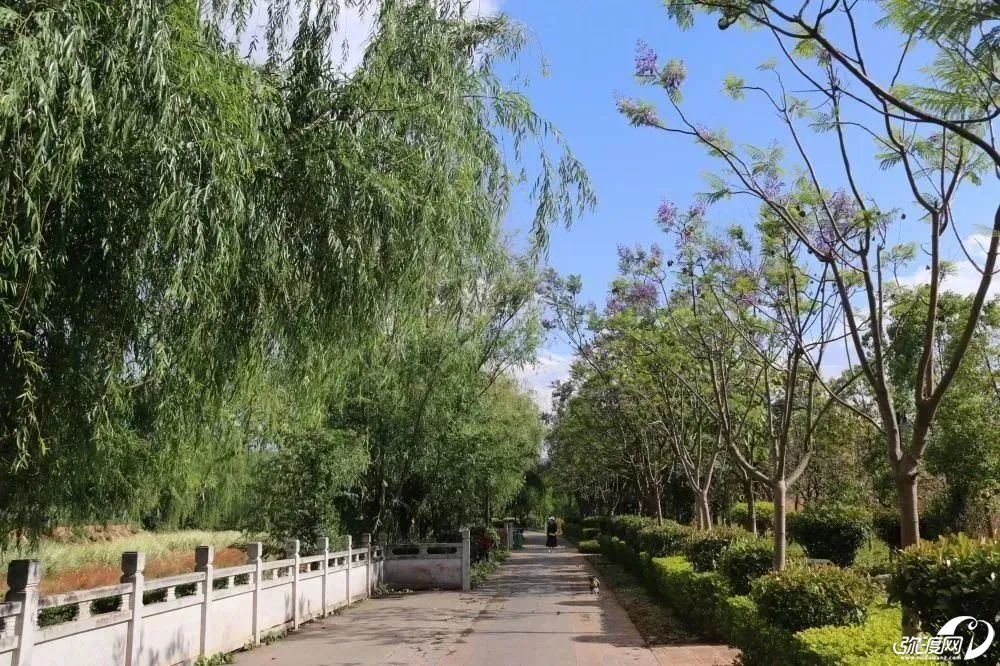 微信图片_20250508104905.jpg