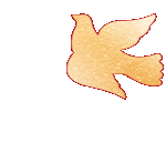 230626q3jf4jv2kkbwsbf4.gif