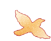 230639c4mdv4ssdh4vlk44.gif