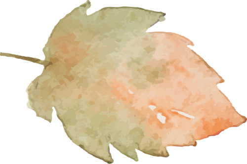 090543nbzmhzhb25nnma42.png