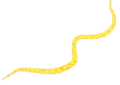 142400rh11g01uhhhqeuvk.png