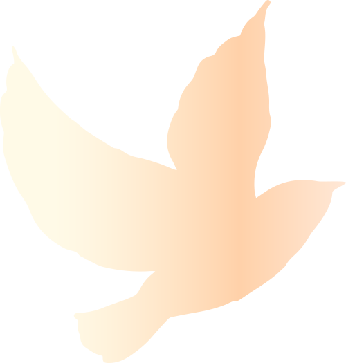 171540qsiyxbnn3sbgcxw3.png