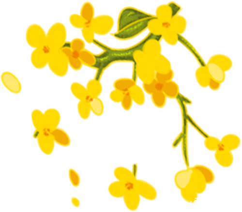 135019gn57aw3gis2niklc.png