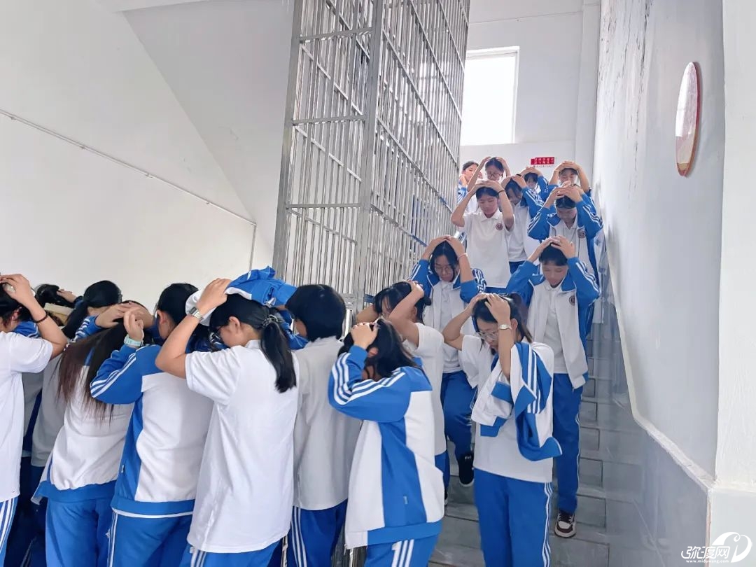171112c1obq2ttg2abppoa.jpeg