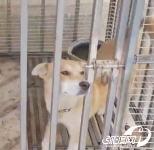 微信图片编辑_20250626141209.jpg