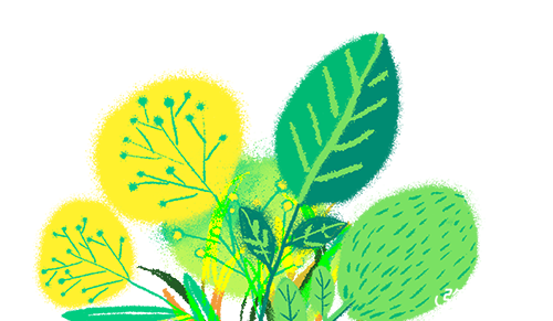 155303ote8991n8ayeqjyk.png