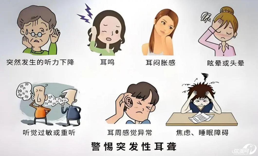 105851cica998zrzaj811a.png