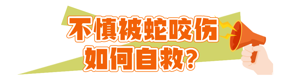 150207tm2x9r9tzrc6lglx.png