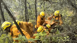104429zlpm5hdw5dndlzy5.gif