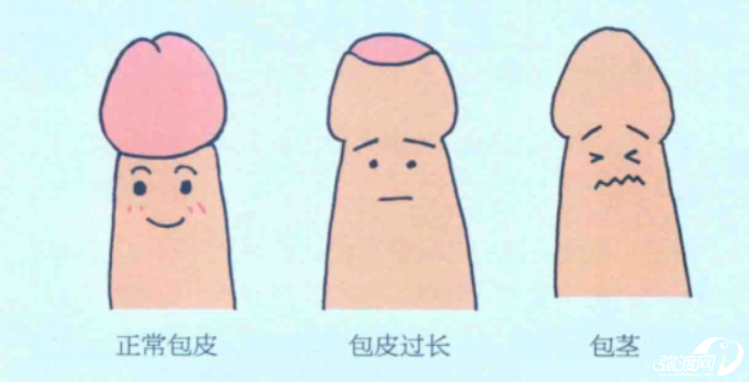 141356y0ojuqazaxycjxk8.png