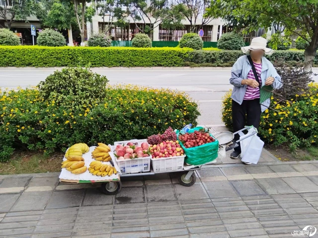171030fqqx7ipfvjob7qv4.jpeg