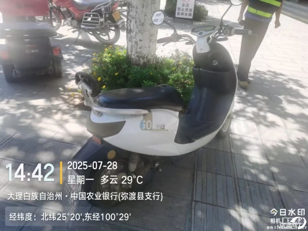 173318c500m4552dnjmjpx.jpeg