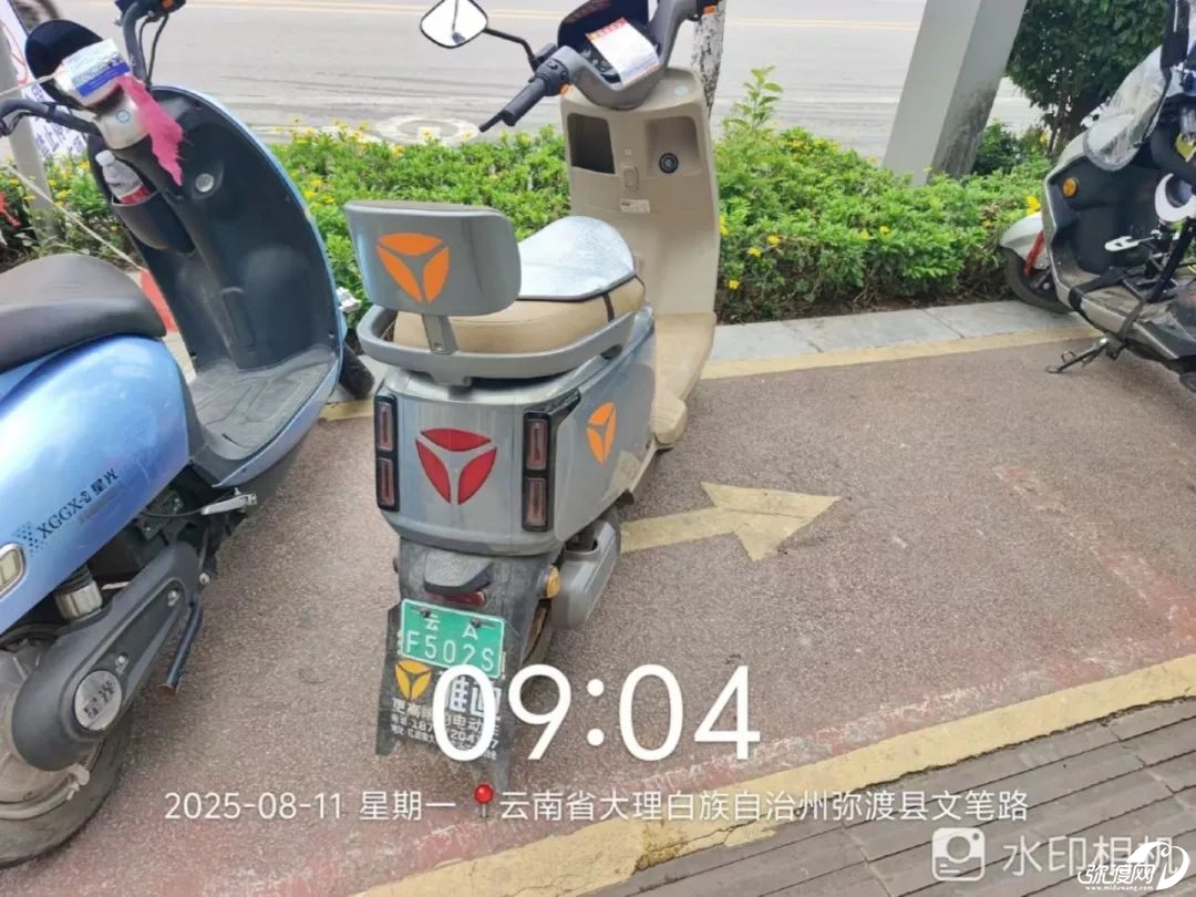 173915skbkc7onbkbd8669.jpeg
