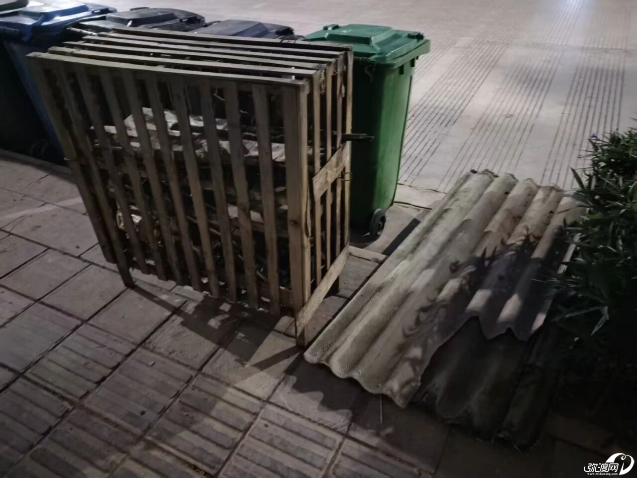 163046cqorabq003oamb21.jpeg